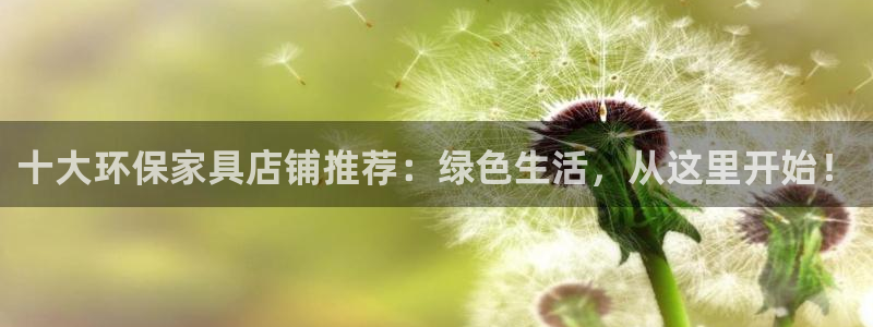 杏宇官网网站：十大环保家具店铺推荐：绿色生活，从这里开始！