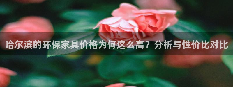 杏宇官网注册：哈尔滨的环保家具价格为何这么高？分析与性价比对