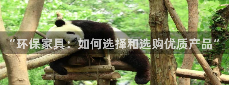 杏宇平台登陆测速：“环保家具：如何选择和选购优质产品”