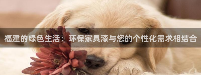 杏宇平台招商的流程：福建的绿色生活：环保家具漆与您的个性化需