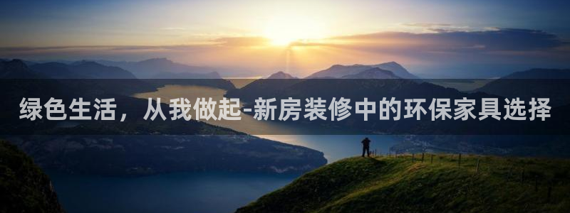 杏宇平台官网