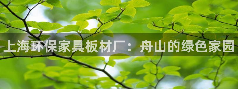 杏宇平台已注册入口：上海环保家具板材厂：舟山的绿色家园