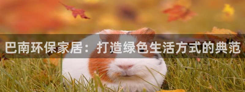 杏宇平台官网：巴南环保家居：打造绿色生活方式的典范