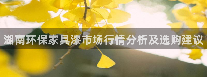 杏宇平台登录：湖南环保家具漆市场行情分析及选购建议