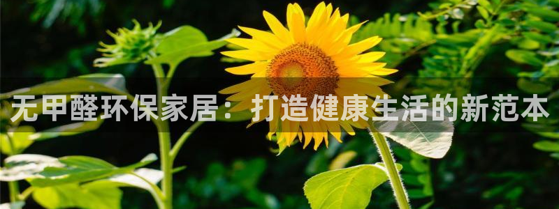 杏宇平台注册入口：无甲醛环保家居：打造健康生活的新范本