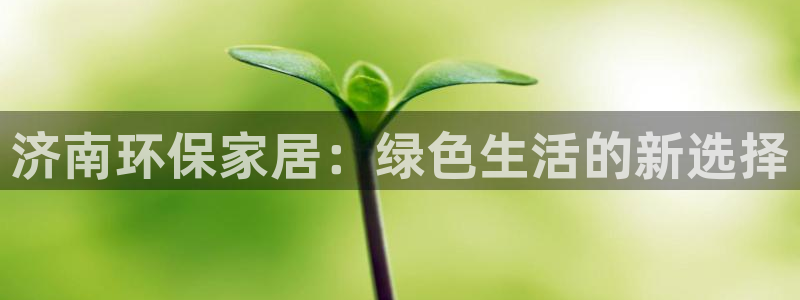 杏宇平台注册代理：济南环保家居：绿色生活的新选择