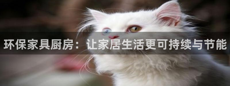 杏宇手机客户端