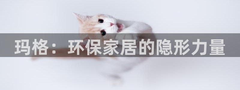 杏宇测速娱乐：玛格：环保家居的隐形力量