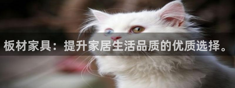 杏宇平台注册会员：板材家具：提升家居生活品质的优质选择。