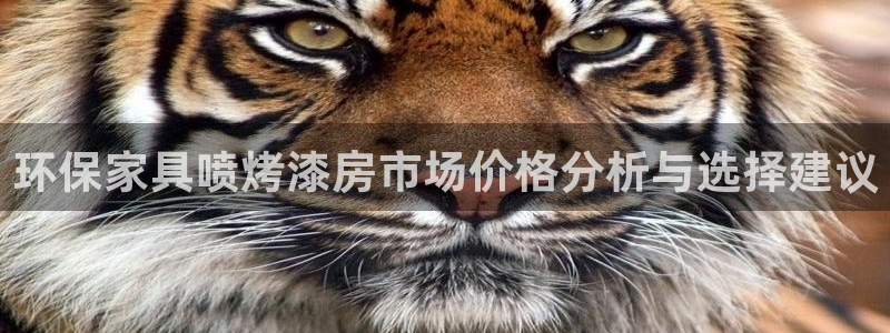 杏宇平台注册会员：环保家具喷烤漆房市场价格分析与选择建议