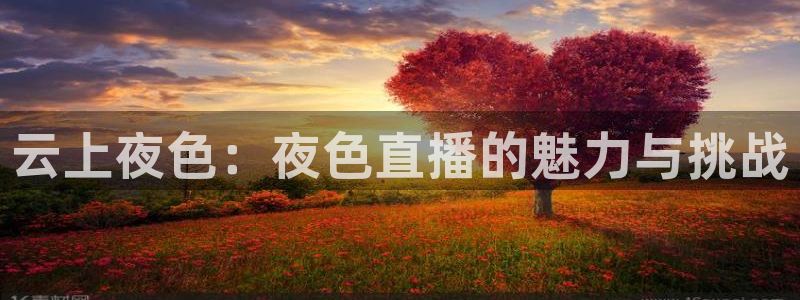 乐球足球直播在线观看免费