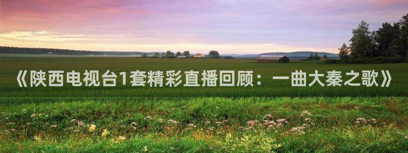 88直播乐球直播