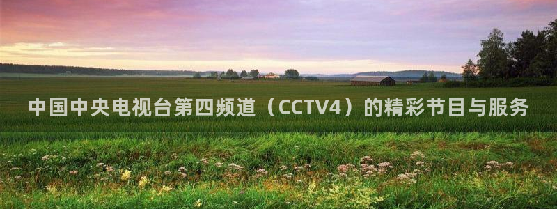 乐球nba直播免费体育直播：中国中央电视台第四频道（CCTV4）的精彩节目与服务